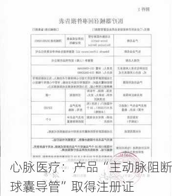 心脉医疗：产品“主动脉阻断球囊导管”取得注册证