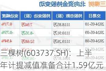 三棵树(603737.SH)：上半年计提减值准备合计1.59亿元