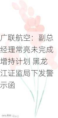 广联航空：副总经理常亮未完成增持计划 黑龙江证监局下发警示函