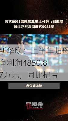 新华联：上半年归母净利润4850.87万元，同比扭亏