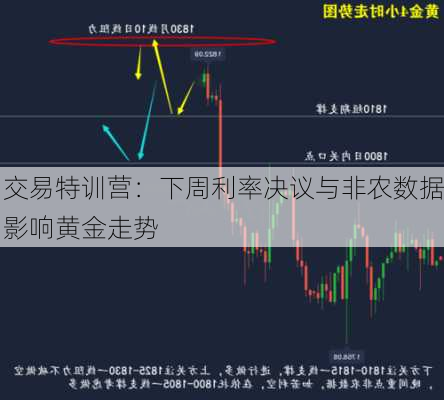 交易特训营：下周利率决议与非农数据影响黄金走势