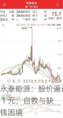 永泰能源：股价逼近 1 元，自救与缺钱困境