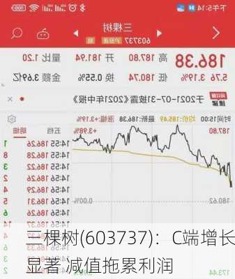 三棵树(603737)：C端增长显著 减值拖累利润