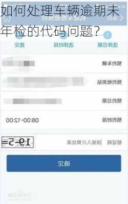 如何处理车辆逾期未年检的代码问题？