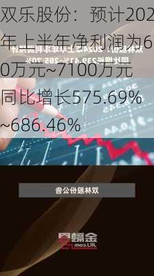 双乐股份：预计2024年上半年净利润为6100万元~7100万元 同比增长575.69%~686.46%