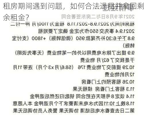 租房期间遇到问题，如何合法退租并拿回剩余租金？