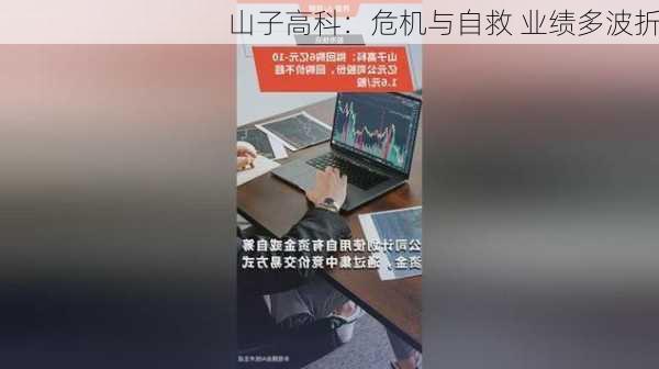 山子高科：危机与自救 业绩多波折