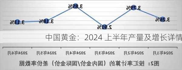 中国黄金：2024 上半年产量及增长详情