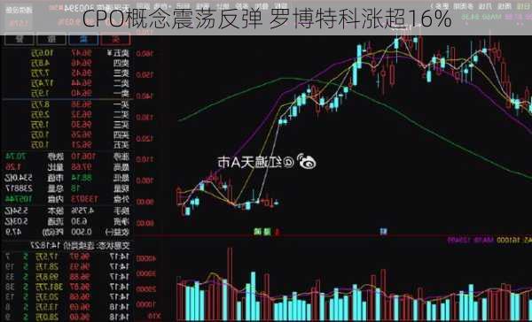 CPO概念震荡反弹 罗博特科涨超16%