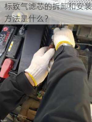 标致气滤芯的拆卸和安装方法是什么？