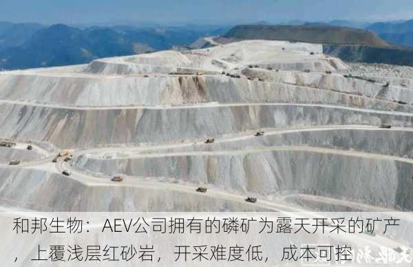 和邦生物：AEV公司拥有的磷矿为露天开采的矿产，上覆浅层红砂岩，开采难度低，成本可控