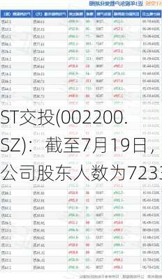 ST交投(002200.SZ)：截至7月19日，公司股东人数为7233户