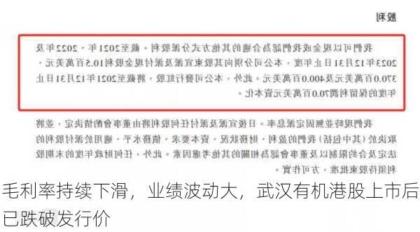 毛利率持续下滑，业绩波动大，武汉有机港股上市后已跌破发行价