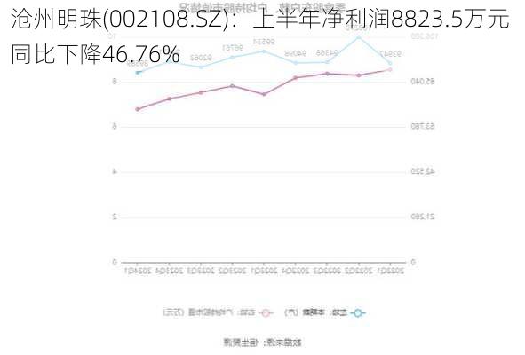 沧州明珠(002108.SZ)：上半年净利润8823.5万元 同比下降46.76%