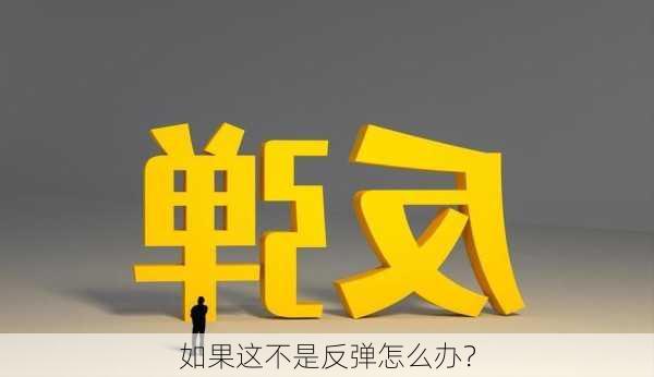 如果这不是反弹怎么办？