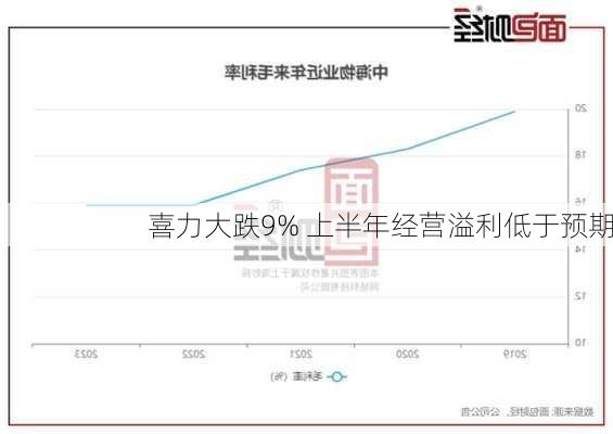 喜力大跌9% 上半年经营溢利低于预期