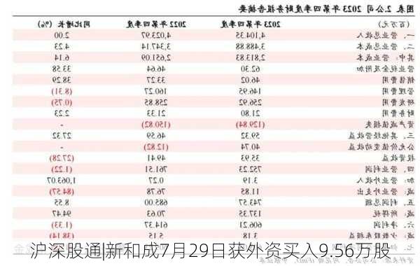 沪深股通|新和成7月29日获外资买入9.56万股