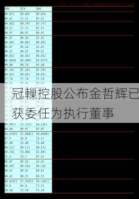 冠轈控股公布金哲辉已获委任为执行董事