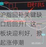 沪指回补关键缺口后回升！这一板块迎利好，掀起涨停潮