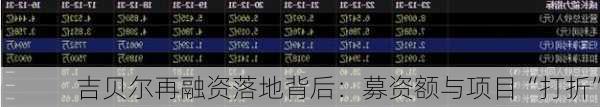 吉贝尔再融资落地背后：募资额与项目“打折”