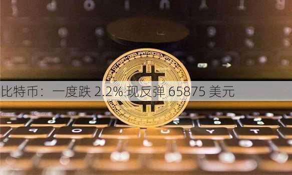 比特币：一度跌 2.2% 现反弹 65875 美元