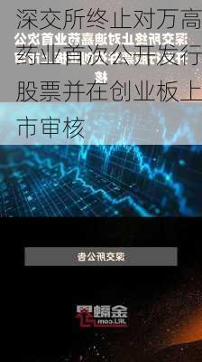 深交所终止对万高药业首次公开发行股票并在创业板上市审核