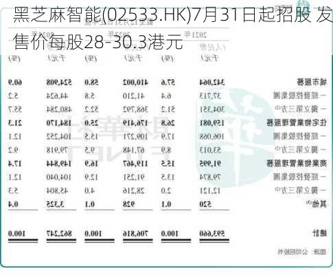 黑芝麻智能(02533.HK)7月31日起招股 发售价每股28-30.3港元