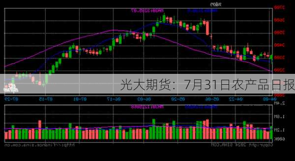 光大期货：7月31日农产品日报