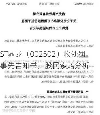 ST鼎龙（002502）收处罚事先告知书，股民索赔分析