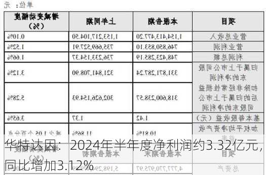 华特达因：2024年半年度净利润约3.32亿元，同比增加3.12%