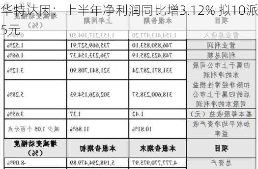 华特达因：上半年净利润同比增3.12% 拟10派5元