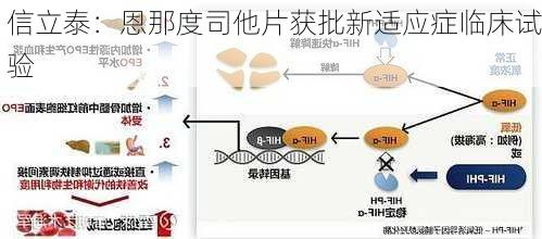 信立泰：恩那度司他片获批新适应症临床试验