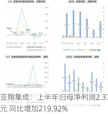 亚翔集成：上半年归母净利润2.37亿元 同比增加219.92%