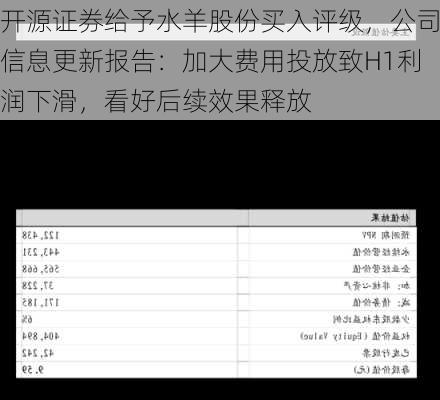 开源证券给予水羊股份买入评级，公司信息更新报告：加大费用投放致H1利润下滑，看好后续效果释放