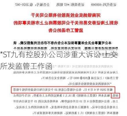 *ST九有控股孙公司涉重大诉讼 上交所发监管工作函