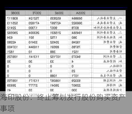 海印股份：终止筹划发行股份购买资产事项