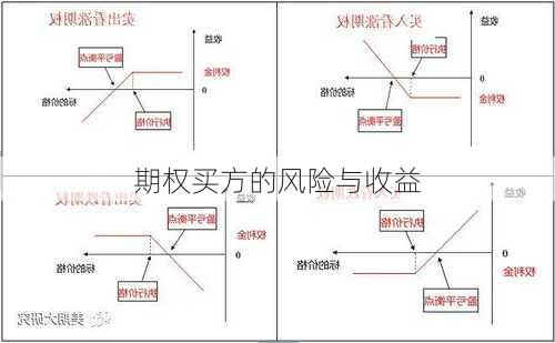 期权买方的风险与收益