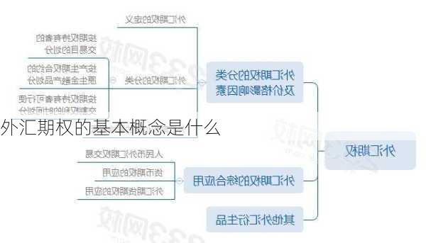 外汇期权的基本概念是什么