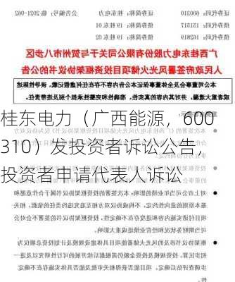 桂东电力（广西能源，600310）发投资者诉讼公告，投资者申请代表人诉讼