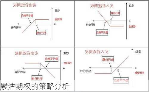 累沽期权的策略分析