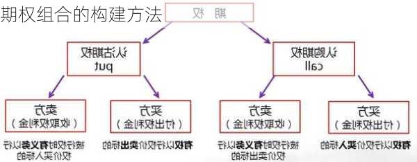 期权组合的构建方法