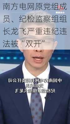 南方电网原党组成员、纪检监察组组长龙飞严重违纪违法被“双开”