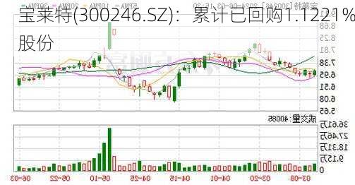 宝莱特(300246.SZ)：累计已回购1.1221%股份