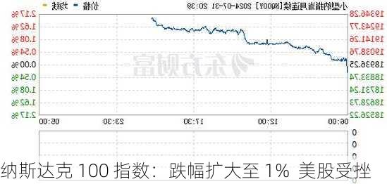 纳斯达克 100 指数：跌幅扩大至 1%  美股受挫