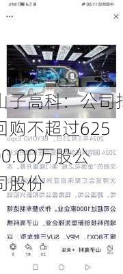 山子高科：公司拟回购不超过62500.00万股公司股份