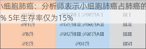 小细胞肺癌：分析师表示小细胞肺癌占肺癌的15% 5年生存率仅为15%