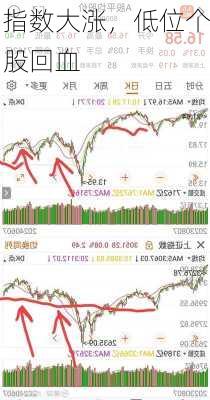 指数大涨，低位个股回血