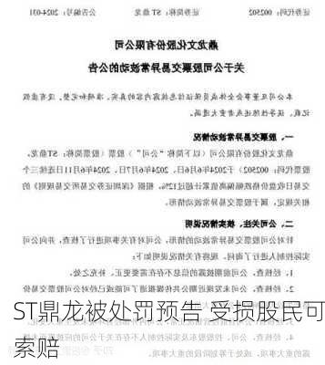 ST鼎龙被处罚预告 受损股民可索赔