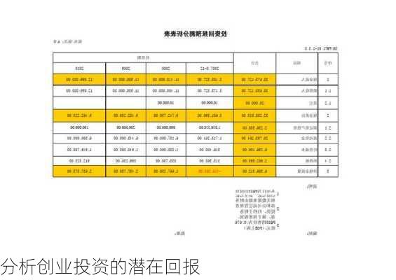 分析创业投资的潜在回报