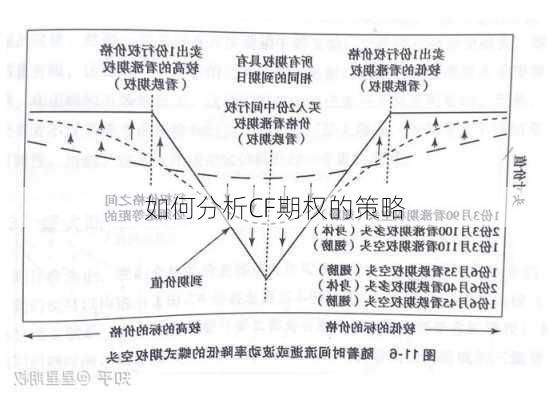 如何分析CF期权的策略